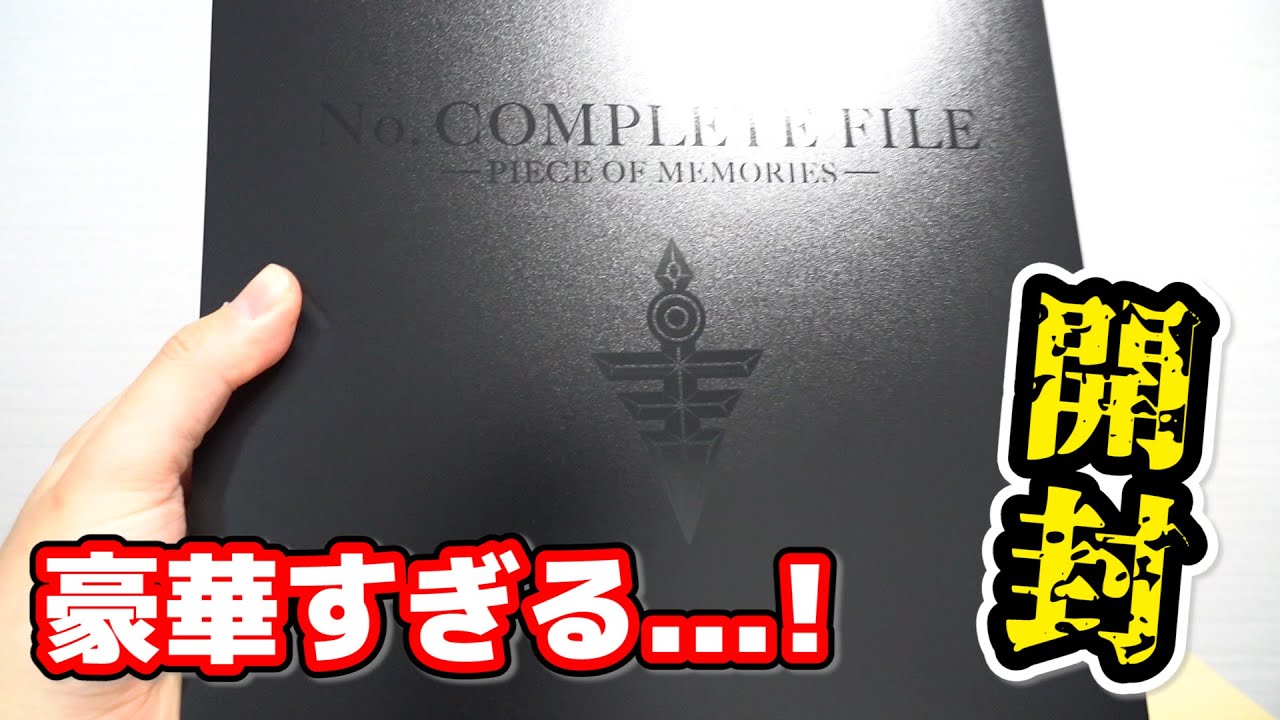 希少】遊戯王 2期 フルコンプリート ファイル2冊 （パック産＋