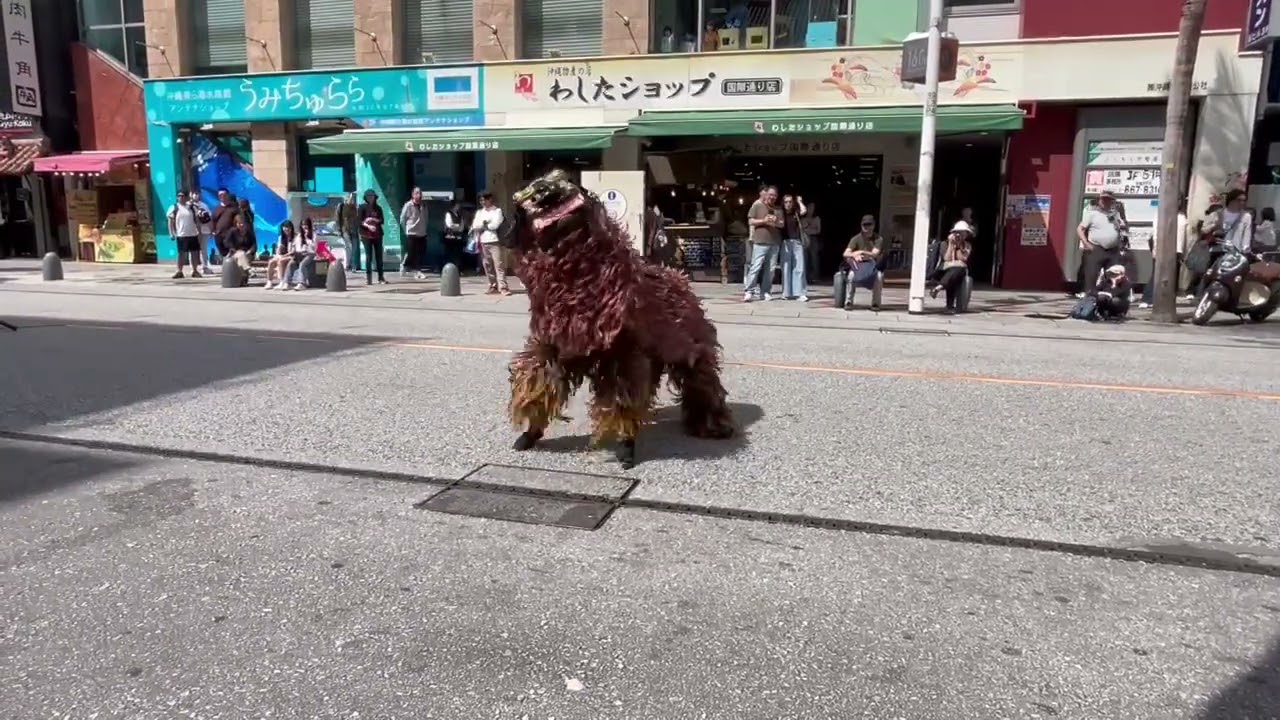 2026.02.22】子獅子@国際通り - YouTube