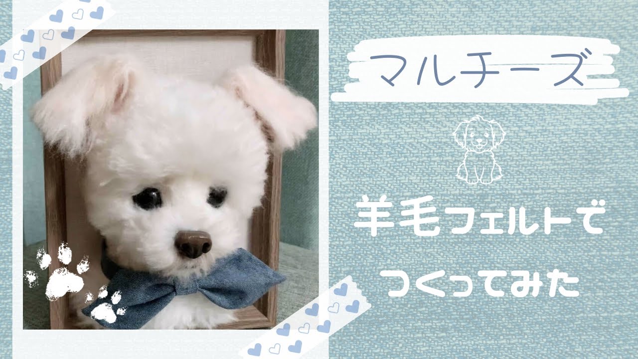 羊毛フェルト】マルチーズ作ってみた【テディベアカット】 - YouTube