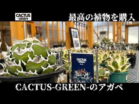 hqdefault.jpg?v=67a354a5