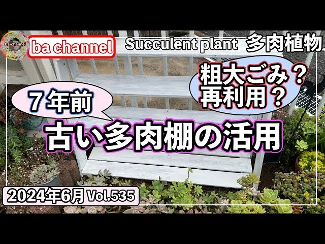 535{多肉植物} 🔄7年前の汚い棚を庭置き多肉棚へと再利用したよん【DIY