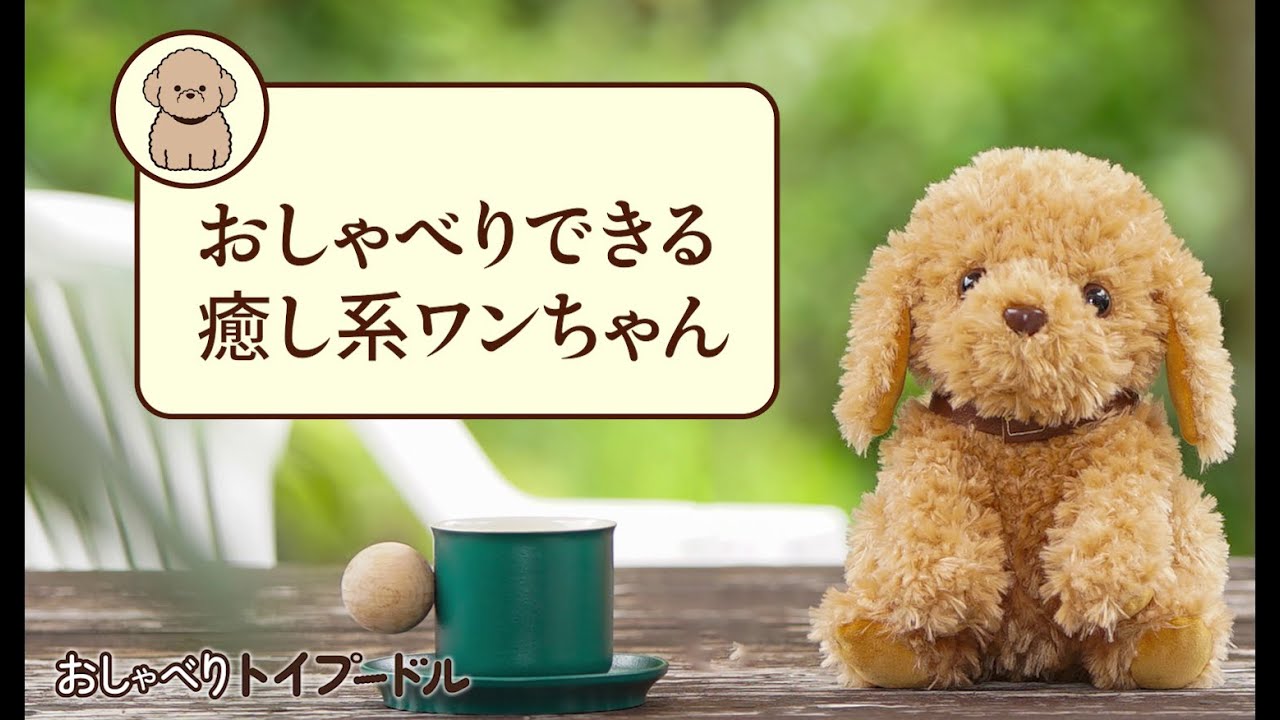 新聞掲載品】おしゃべりトイプードル | がくぶん特選館｜創業100周年