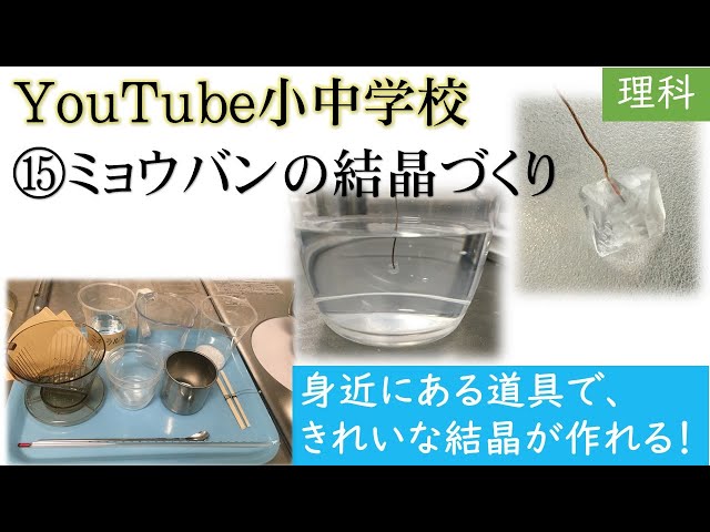 理科の実験 ミョウバン の 結晶💎をつくろう🏫 - YouTube