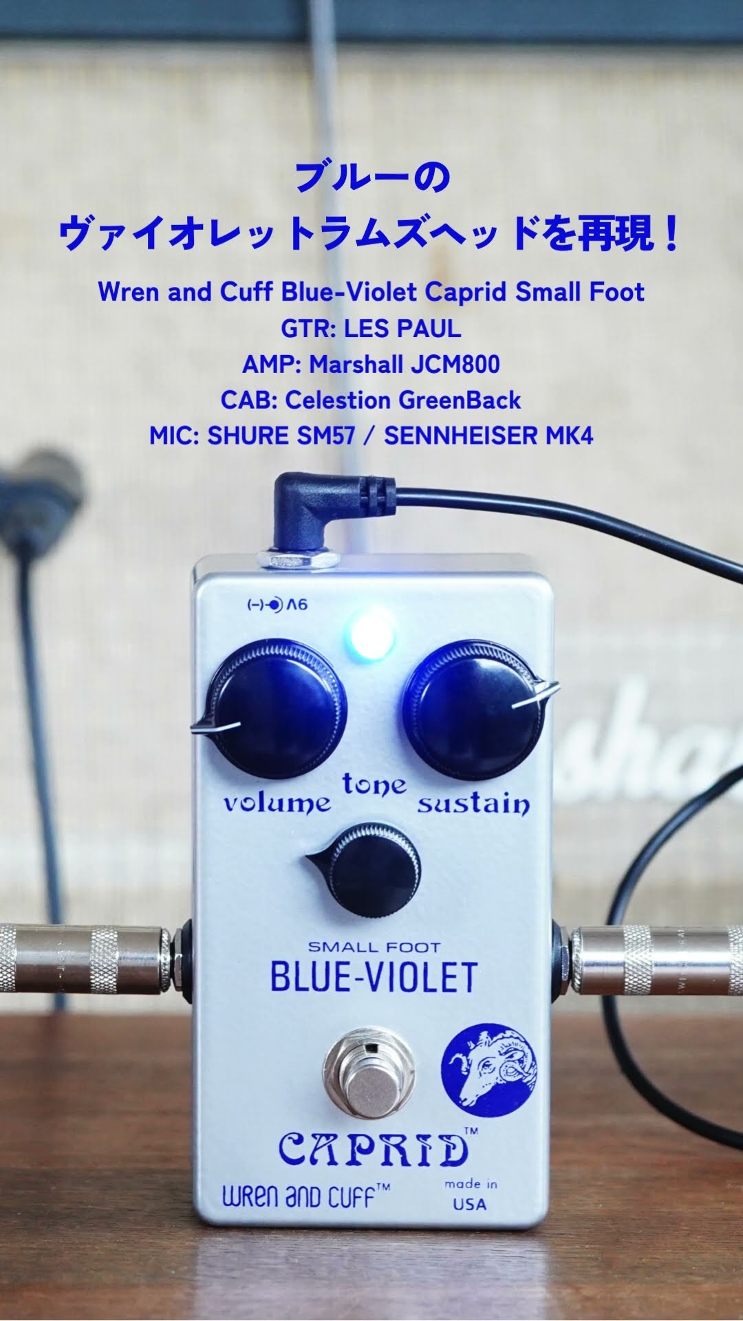 ブルーのヴァイオレットラムズヘッドを再現！Wren and Cuff Blue