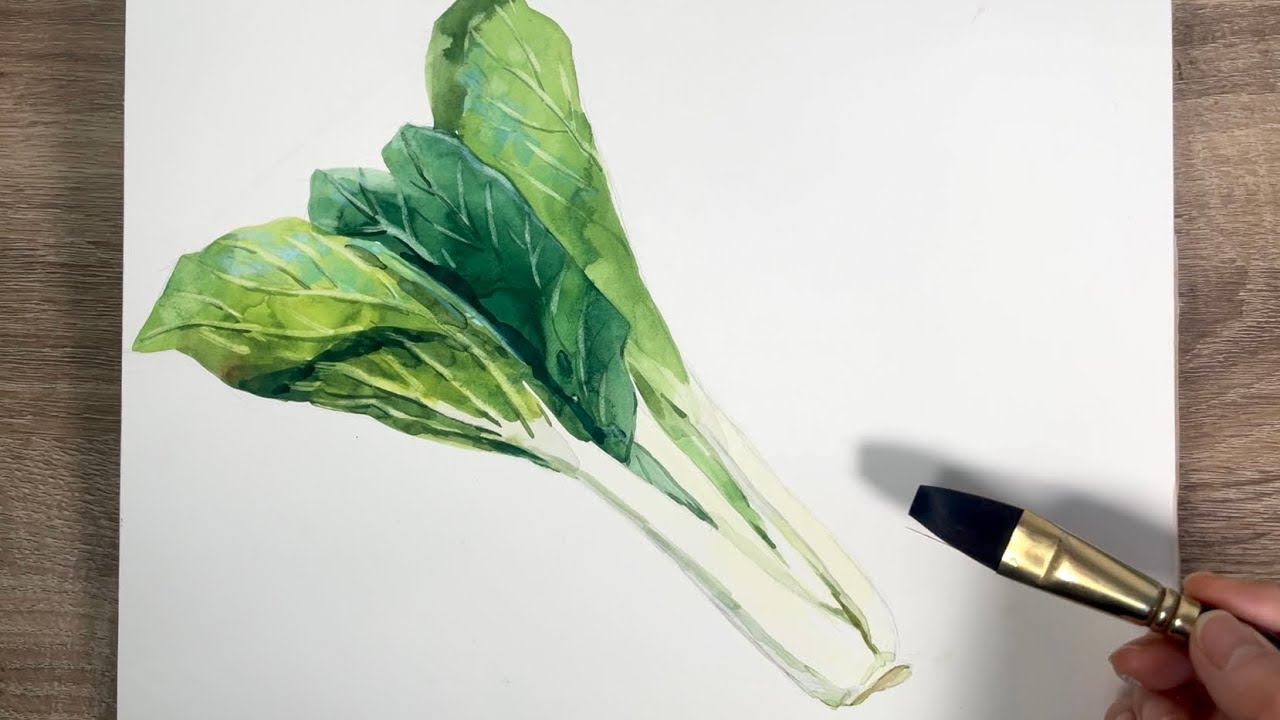 Watercolor Sketch168/ Bok Choy 水彩スケッチ168/チンゲンサイ - YouTube
