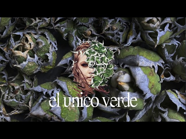 124 福岡の新植物イベント el unico verde / the coyote plants 宇多田