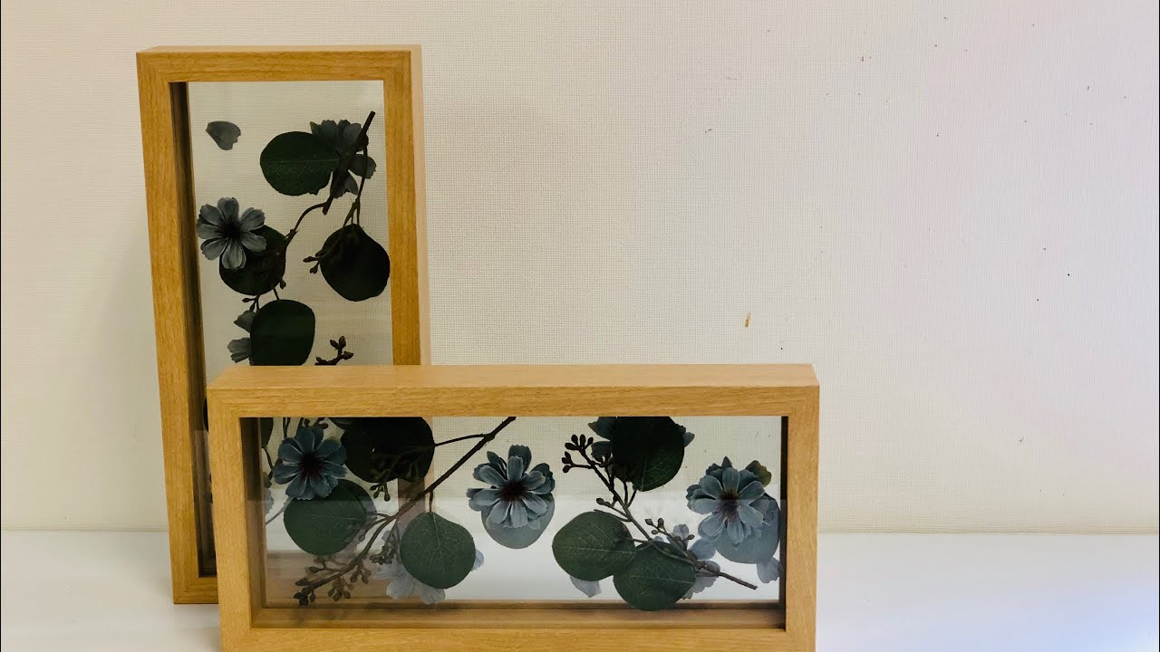 フレームの中で宙に浮く植物がオシャレ！インテリアにぴったり