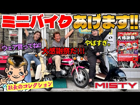 First Time] MISTY's 30 Years of Dash❗️Big Thanksgiving‼️-Mini