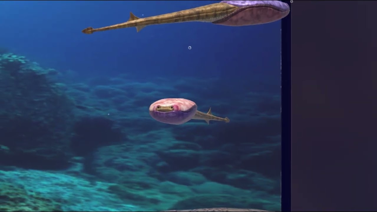 サカバンバスピス - YouTube