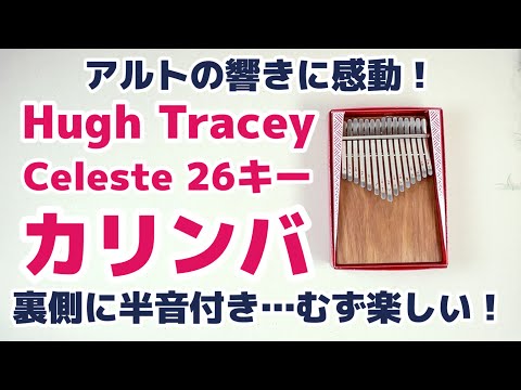 Hugh Tracey KALIMBA 26Key Review - YouTube