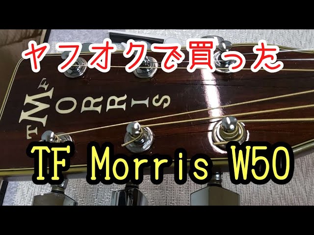 MOUNTAIN W-450（林楽器）素晴らしきジャパンヴィンテージの世界 - YouTube