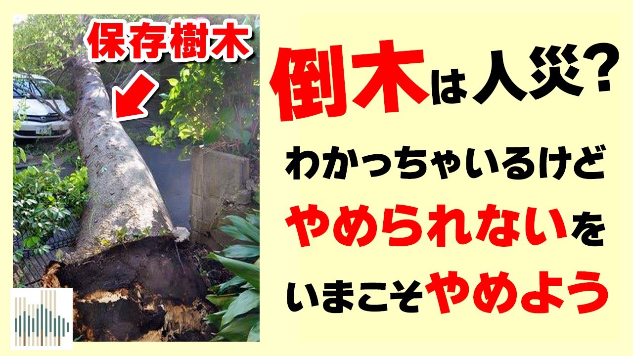 Specific proposal] What is different about the Somei-Yoshino