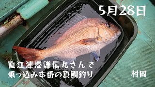 5月28日 上越の直江津港謙信丸さんで乗っ込み本番の真鯛釣り【村岡