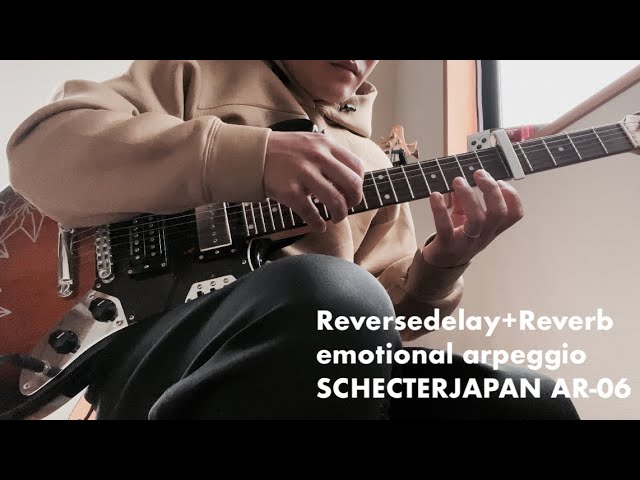 Reversedelay+Reverb】リバースディレイとリバーブでギター弾いてみ