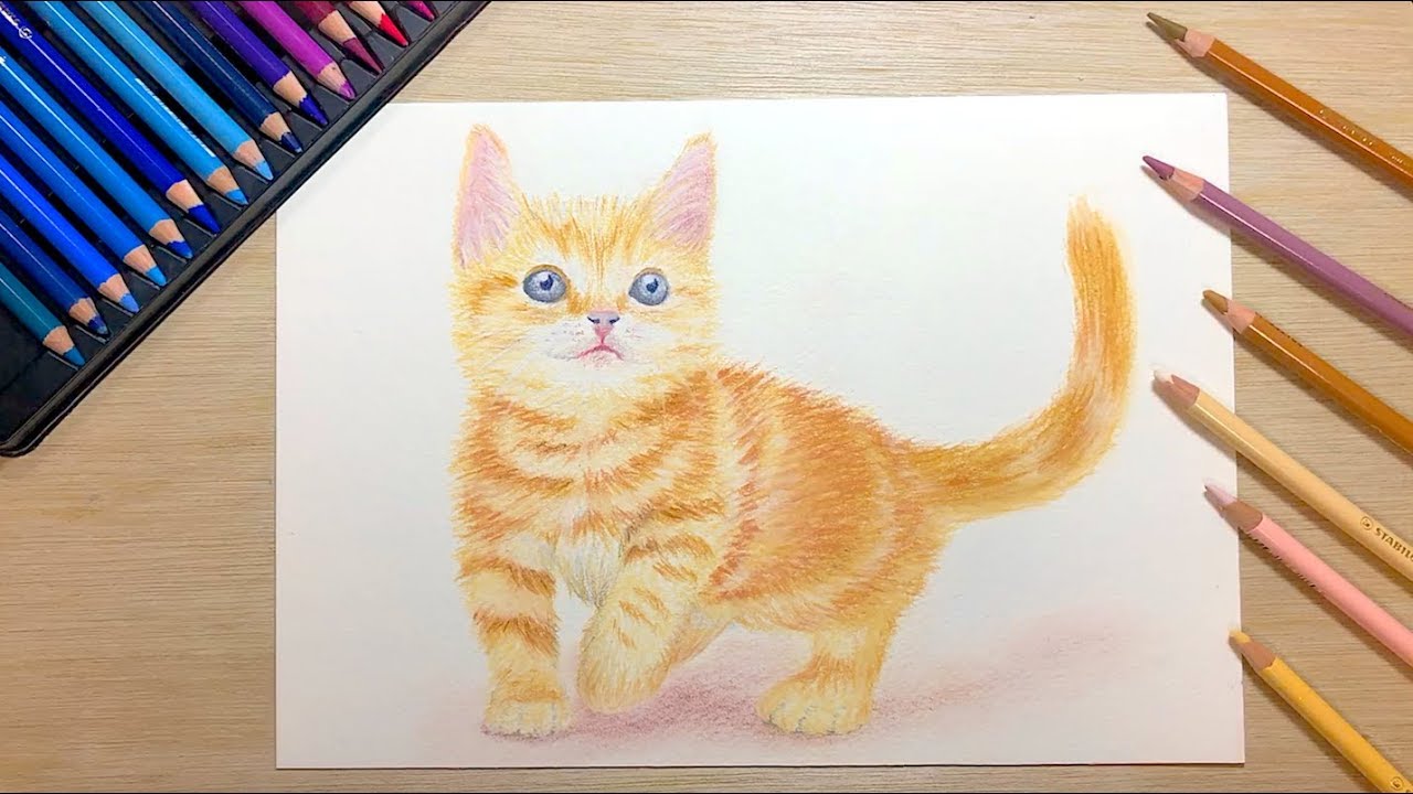How to draw a cat with colored pencils [Time lapse] - YouTube