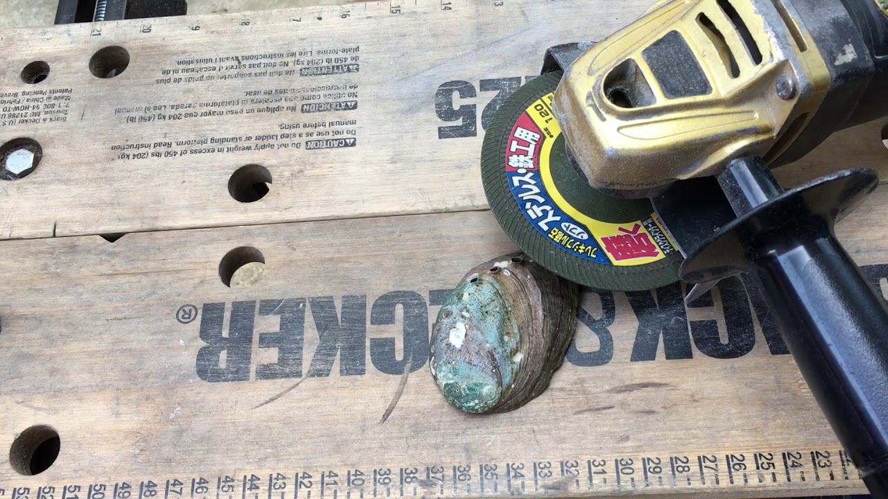 アワビの貝殻の磨き方 How to polish shell - YouTube