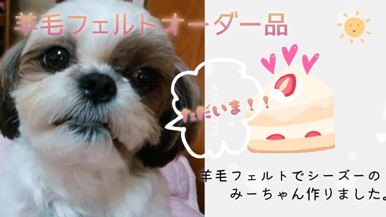 ずっと家族だよ🐾】羊毛フェルトオーダー作品 シーズーのみーちゃん