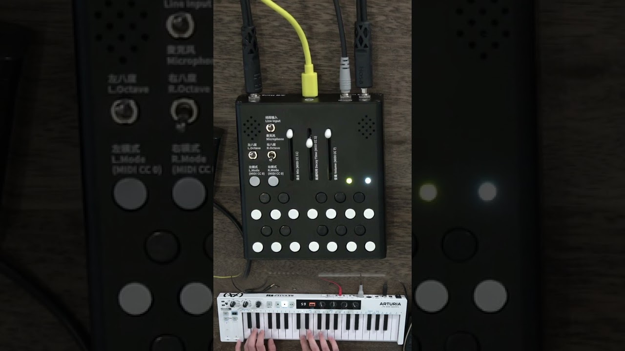 Meng Qi Wingie2 Stereo Resonator #short - YouTube