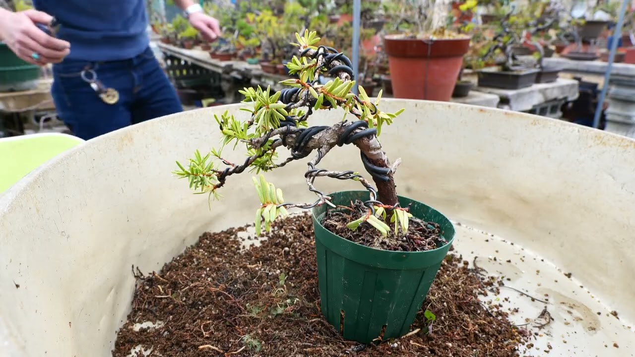 maxresdefault.jpg?sqp=-