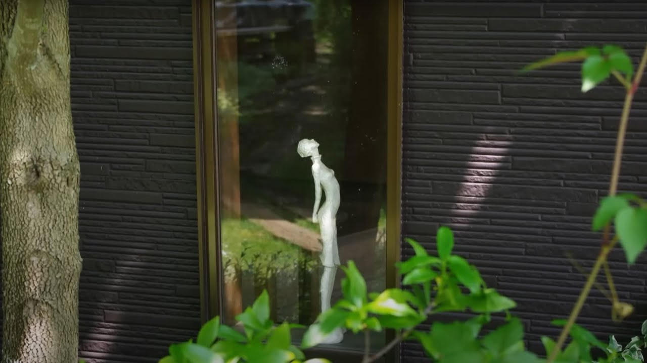 山採り自然樹形オトコヨウゾメ花 2024 秋元園芸 - YouTube