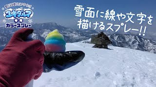 ユキダルマ専用カラースプレー（青） | 株式会社池田工業社
