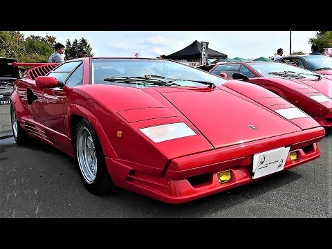 1989 LAMBORGHINI COUNTACH 25th Anniversary ランボルギーニ