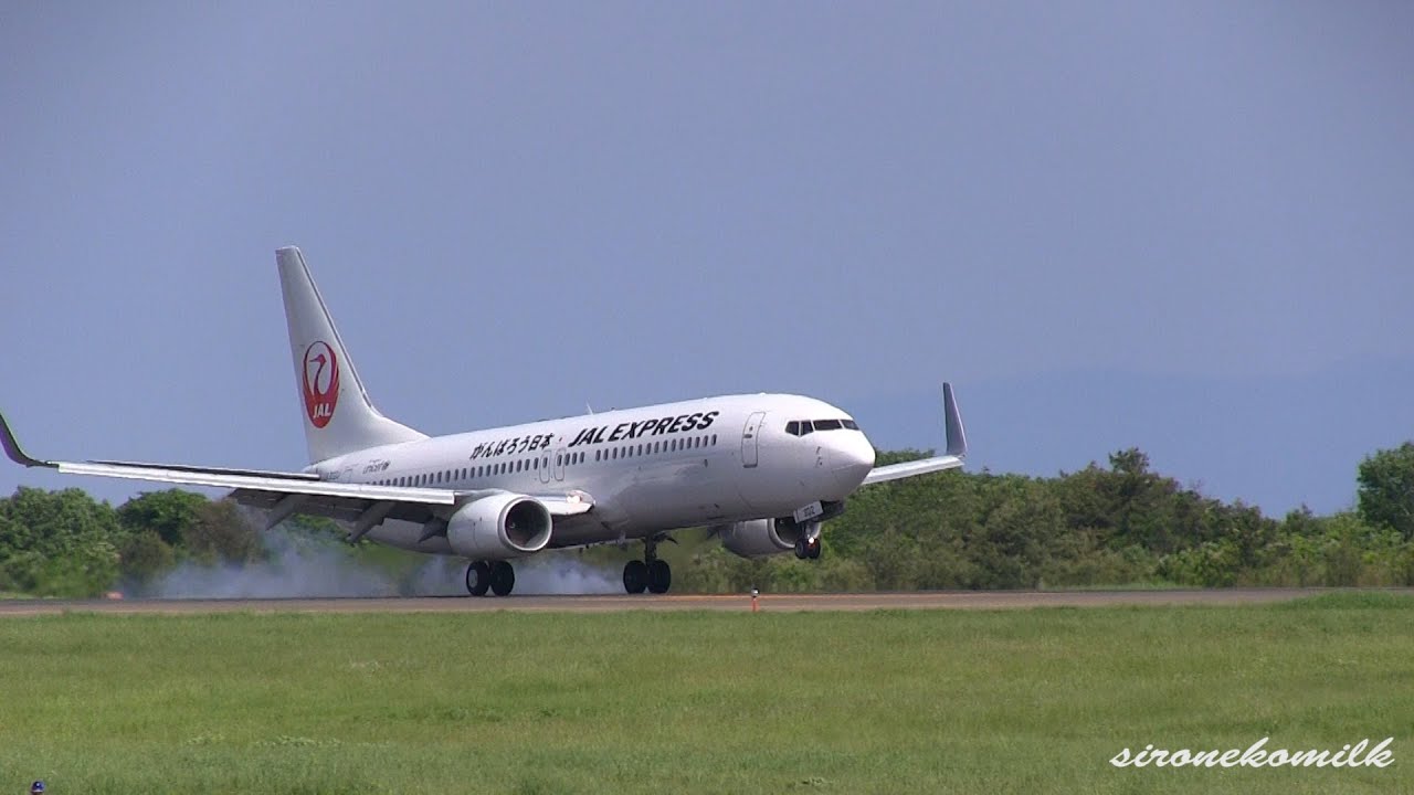 JAL Express Boeing 737-800 JA302J Landing | Akita Airport (Japan