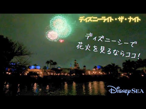 TDS夜景】アラビアン宮殿をバックに花火鑑賞！ロストリバーデルの橋