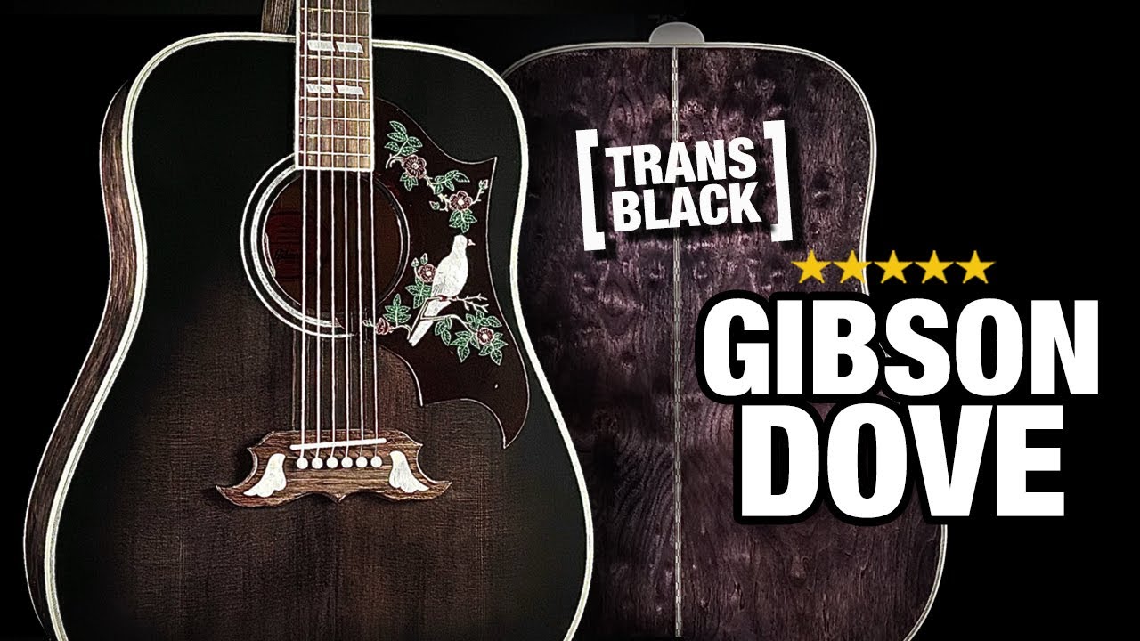 A Tough Looking Gibson Dove (with Trans-Black Finish) - YouTube