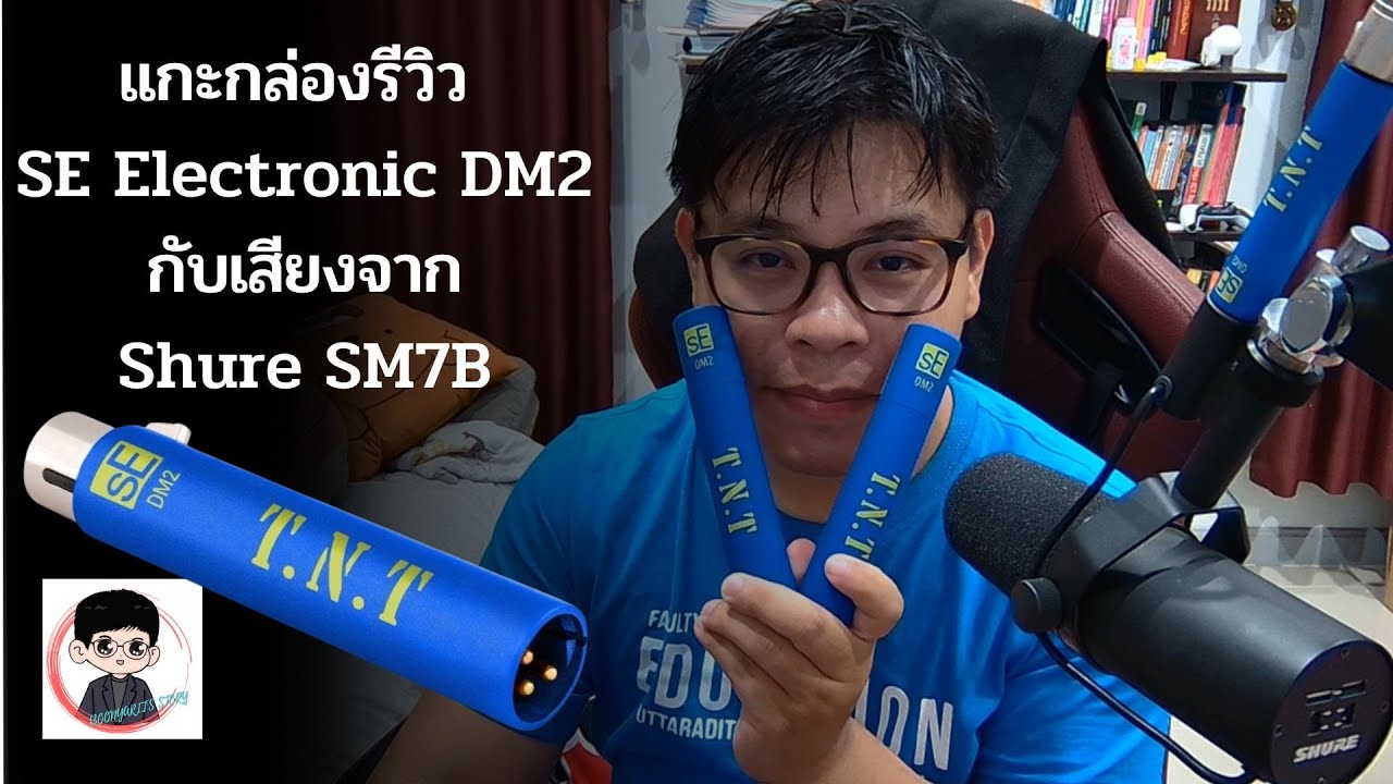 Review Active Inline Pre-amp SE Electronic DM2 & Microphone Shure
