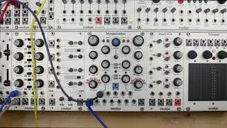 Intellijel Morgasmatron - Eurorack Module on ModularGrid