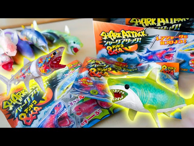 Introducing all types] We opened the complete set of the