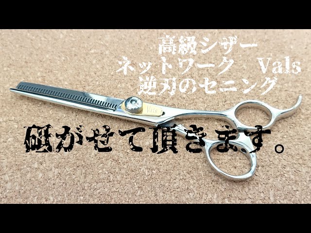 シザー(理美容ハサミ) 研ぎ ネットワーク Vals 高級メーカーのセニング