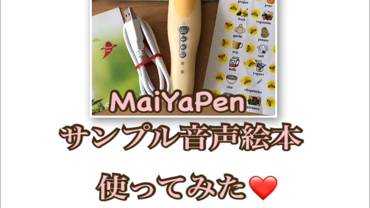 MaiYaペン 購入！MaiYapen - 英語教室等行かずにDWEをメインに使って