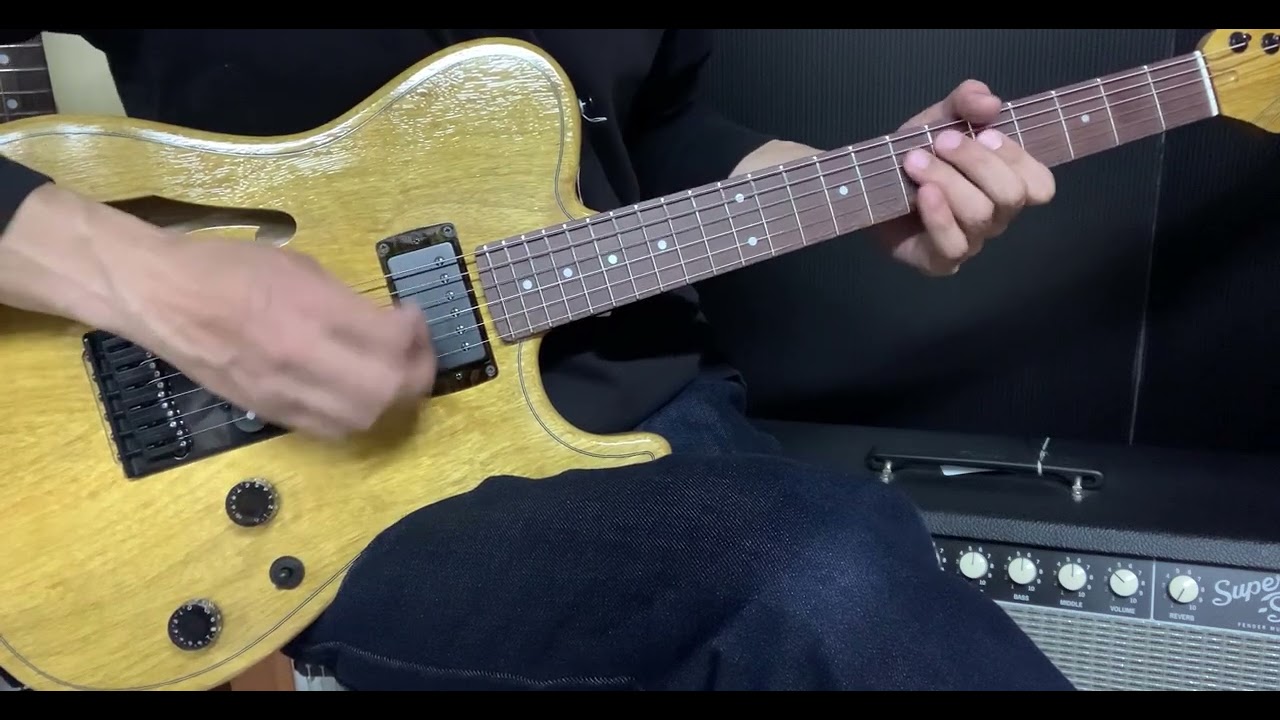 Deviser ROSETTEE KORINA HT SP'24/NJ KNY-NB【商品紹介@Guitar Planet