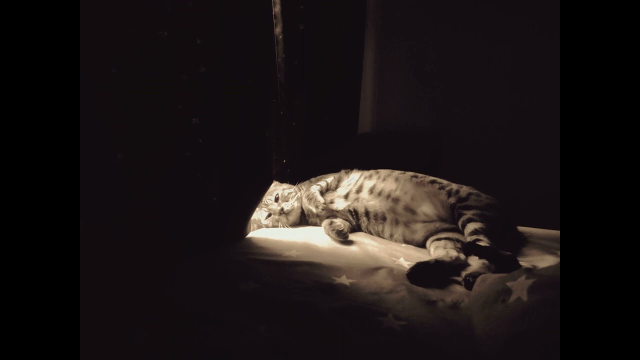 青山テルマ feat.SoulJa / そばにいるね - YouTube