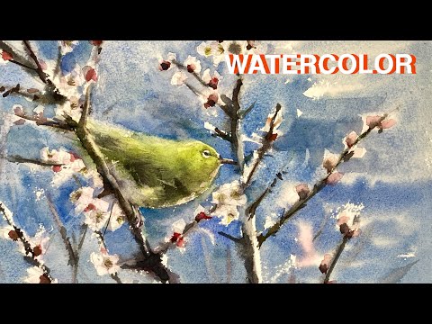 Eng Sub]【HOW TO WATERCOLOR 60】水彩画 /梅/メジロ - YouTube