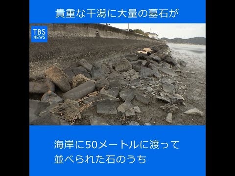 Nスタ545「貴重な干潟に大量の墓石が」 - YouTube