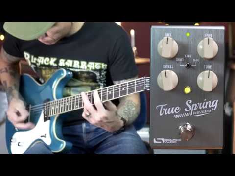 Drippy Goodness! - Source Audio TRUE SPRING Reverb (plus Tremolo