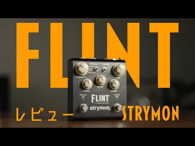 Strymon Flint！リヴァーブ＆トレモロの名機を紹介！[機材紹介] - YouTube