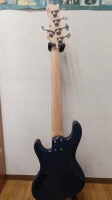 FREEDOM CUSTOM GUITAR RESEARCH ANTHRA 5ST Electric Bass Guitar | eBay