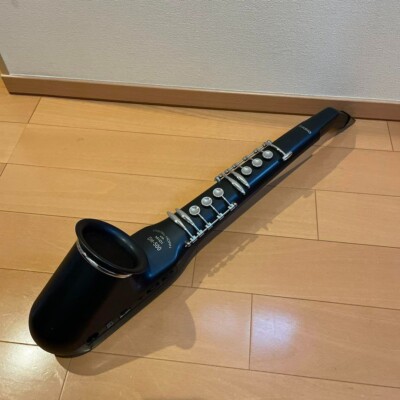 CASIO DH-500 Digital Horn Sax Used | eBay