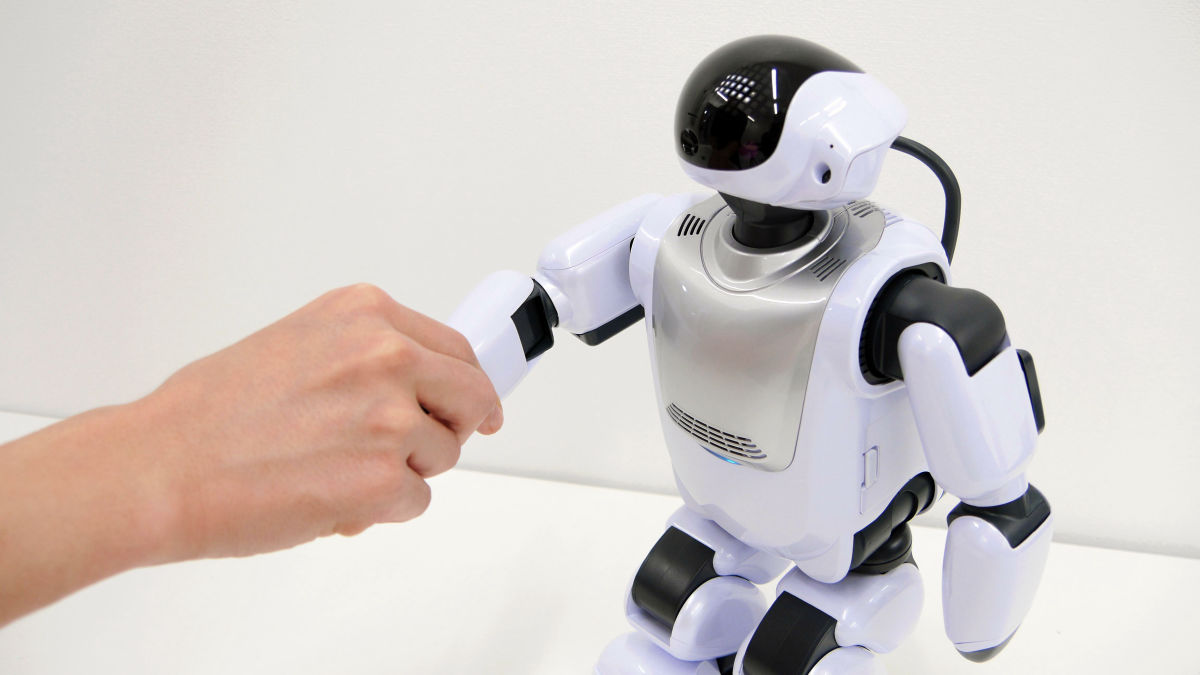 ネットから情報をゲットし自己学習・自己進化して話す＆歩くロボット