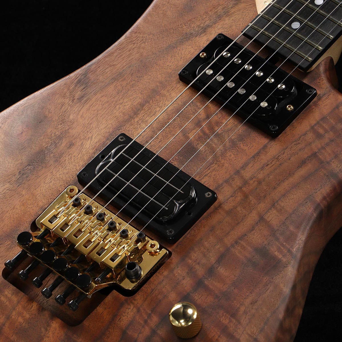 Washburn Nuno Models Diary Vol.20 Walnut – GuitarQuest イシバシ