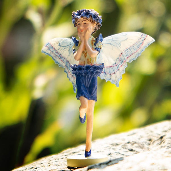 Cicely Mary Barker's Flower Fairies – iGifteria