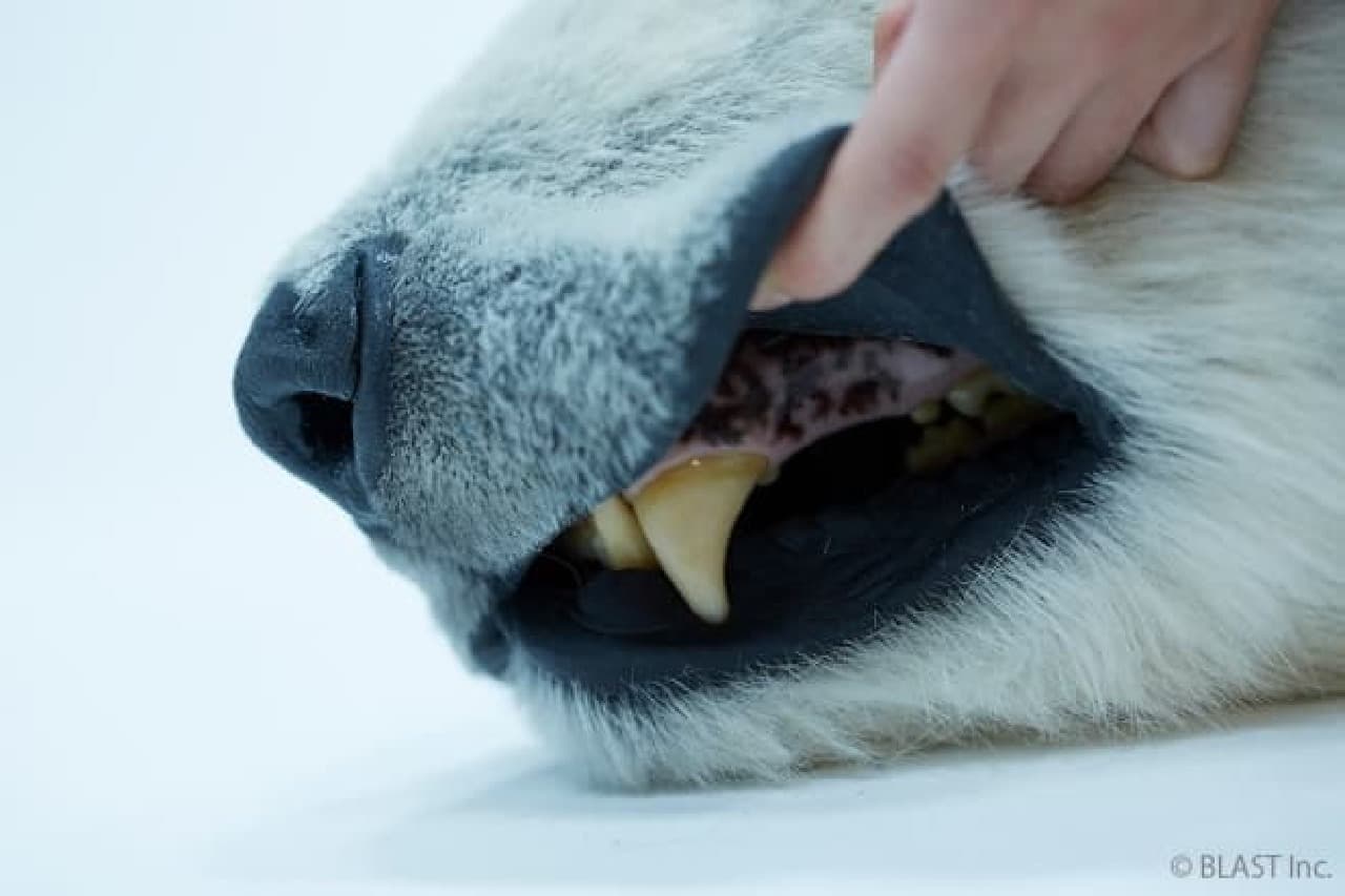 うちに帰れば、シロクマ親子--1,000万円超えの実物大アートが登場