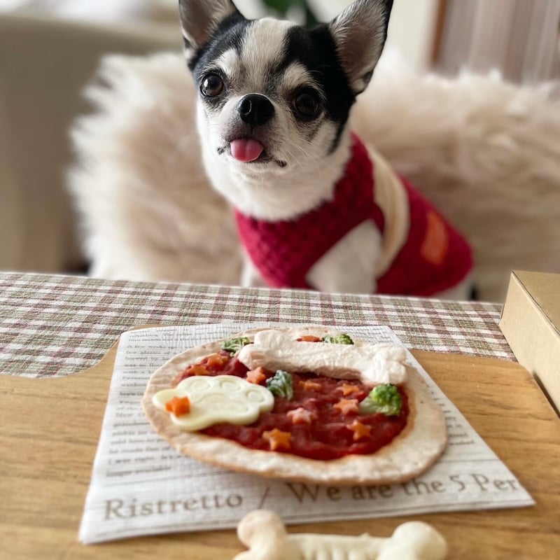 わんちゃんのネームプレート付き】わんわんピザクリスピー わんちゃん