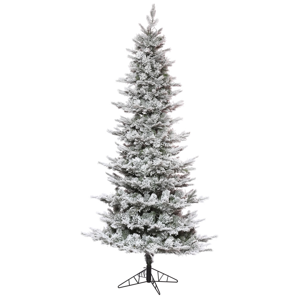 K173181LED - Flocked Kiana Pine Christmas Tree | Vickerman