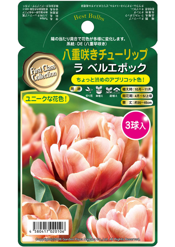 園芸ネット本店｜チューリップ（八重咲き）：ラ・ベル・エポック3球