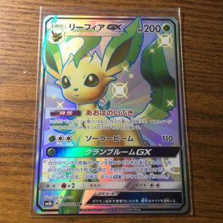 533511852.jpg?1543835135